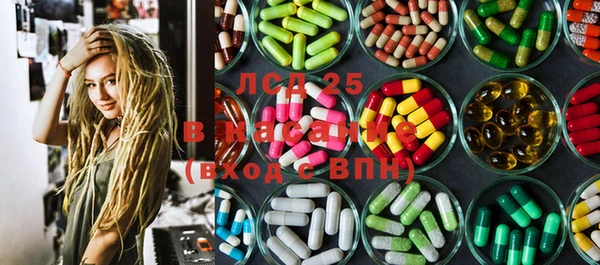 ПСИЛОЦИБИНОВЫЕ ГРИБЫ Армянск