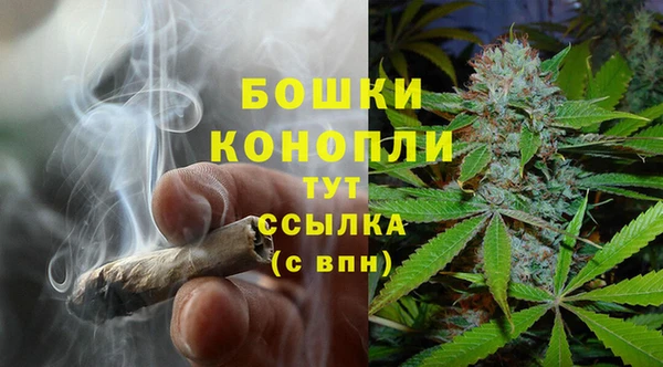 ПСИЛОЦИБИНОВЫЕ ГРИБЫ Армянск