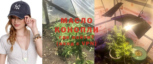 прущие грибы Гусев