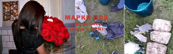 спайс Аркадак