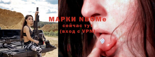 прущие грибы Гусев