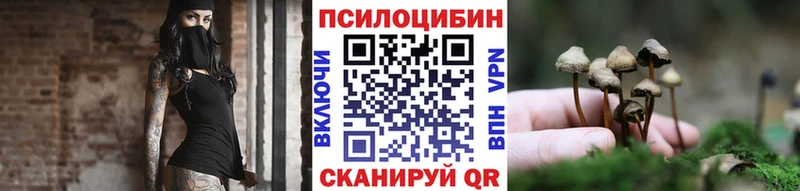 как найти наркотики  Сосновоборск  Галлюциногенные грибы мицелий 